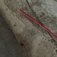 Elektrikas