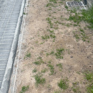 Automatinės laistymo sistemos, apželdinimo paslaugos