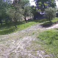 Žoles pjovimas trimeriu su gelezte ir žilka