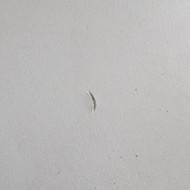 Išdaužos taisymas mikrocemento grindyse