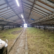 Šiltnamio pagriindų paruošimas ir užpilimas