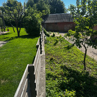 Atraminės sienelės