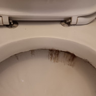 Tualeto bakelio vandens nuleidimo sistemos keitimas