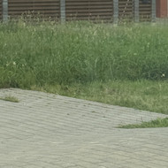 Žolės pjovimas