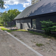 Račiokio arba bobcato 1 dienai prie Kalvariju turgaus