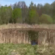 Prūdo valymas