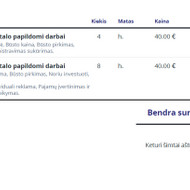 Programuotojas