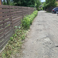 Žolės pjovimas, piktžolių naikinimas. Vilnius, Antakalnis.