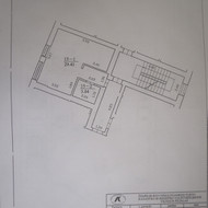Sienų ir lubų dažymas