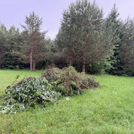 Reikia išvežti šakas. Kavleliai/Šumskas
