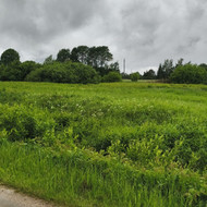 Apleistų sklypų tvarkymas