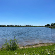 Tvenkinių valymas