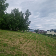 Žolės nupjautos sugrėbimas