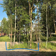 Medžių pjovimas, kelmų frezavimas