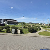 Reikia atlikti pušų genėjima-formavimą, 20 medelių