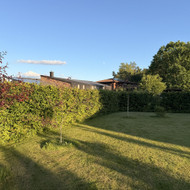 Ravėjimas