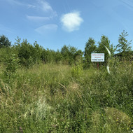 Žolės, krūmų, medžių pjovimo darbai sklype