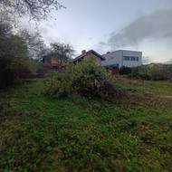 Šakų išvežimas Vilniaus mieste