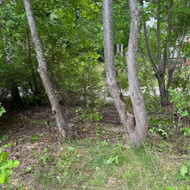 Griovimo-išvežimo