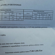 Ieškau meistro
