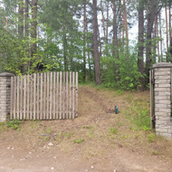 Mediniai vartai