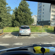 Reikia nupjauti zole