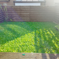 Reikia atnaujinti apie 30 m² veją