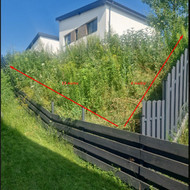 Šlaito užsodinimas šliaužiančiais kadagiais - 20m2, Vilnius