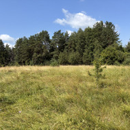 Apleistų sklypų tvarkymas