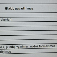 Plyteliu klojejai