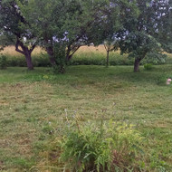 Žemės atvežimas ir išsklaidymas, akmenų iš sklypo pašalinimas, duobės iškasimas