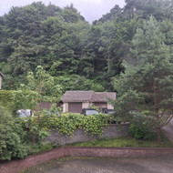 Dailininkai