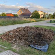Molio išveżimas