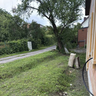 Medžių genėjimas, pjovimas