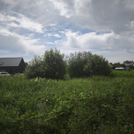 Reiketu nušienauti, nupjauti sklypa Pavilnyje