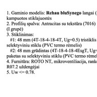 Langų montavimas 2 vnt.