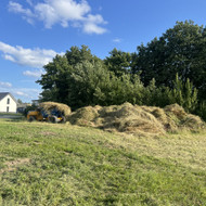 Žalių atliekų išvežimas