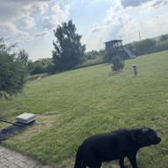 Žolės pjovimas