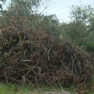 Šakų išvežimas