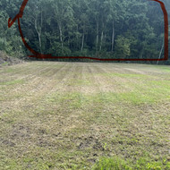 Medžių pjovimas