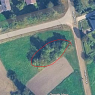 Medžių genėjimas, pjovimas