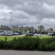 Augalų priežiūra