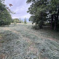 40 mašinų molio