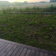 Reikalingas vejos įrengimas apie 200 m² plote