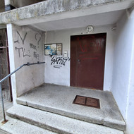 Dažytojai