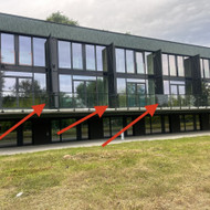 Vazonai ir/ar vijokliniai augalai