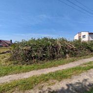 Šakų/biokuro išvežimas