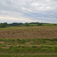 Žemės arimas