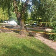 Medžių pjovimas