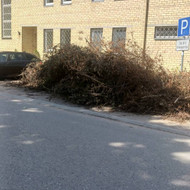 Krūmų išvežimas